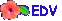 EDV